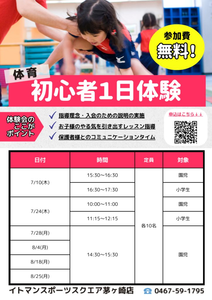 TS初心者のサムネイル