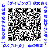 QRコード【ダイビング】秋のおすすめ お出かけスポットは海の中